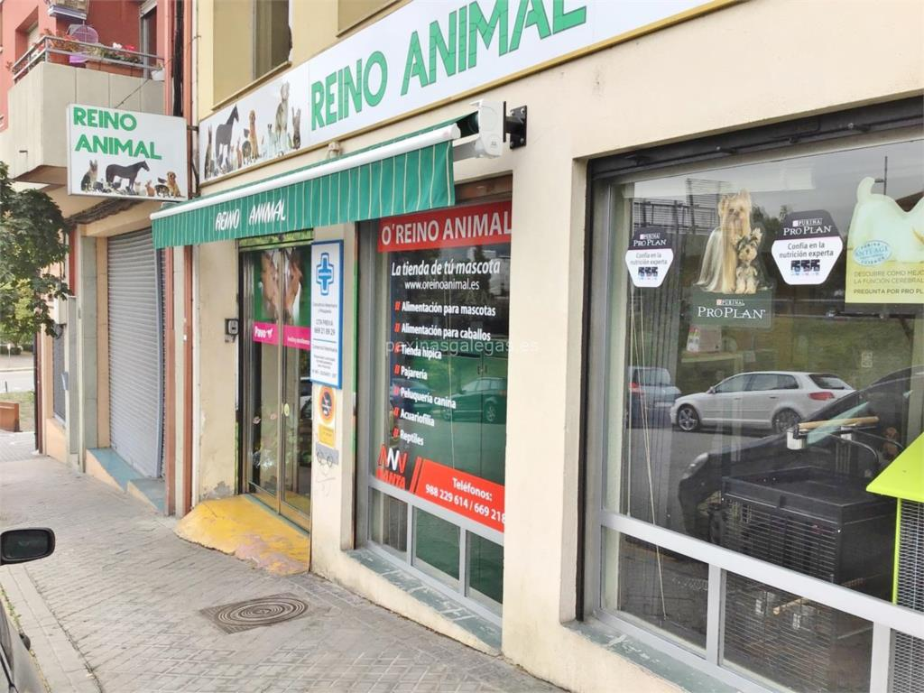 tienda animales pontevedra reino animal